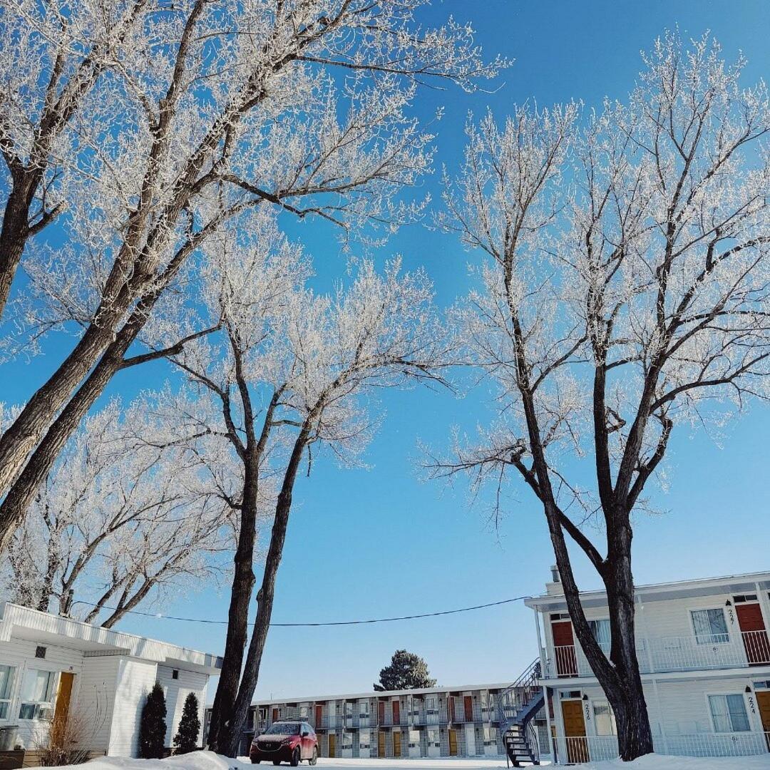 Auberge Le Parasol Chicoutimi المظهر الخارجي الصورة